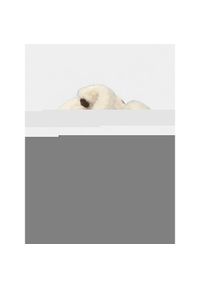 Kapcie Damskie Barts Ayumies. Kolor: brązowy. Materiał: futro. Styl: sportowy #1