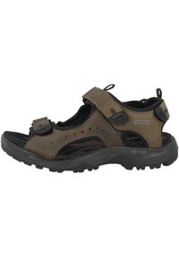 ecco - Buty do chodzenia męskie Ecco Offroad. Zapięcie: rzepy. Kolor: brązowy. Materiał: guma, skóra. Sport: turystyka piesza