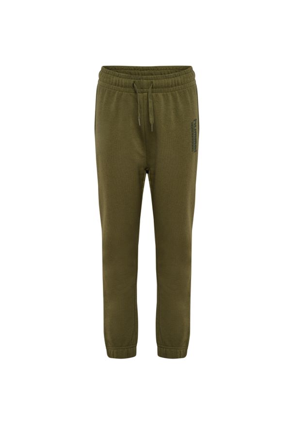 Spodnie dresowe dla dzieci Hummel Base Regular. Kolor: zielony. Materiał: dresówka. Sport: bieganie