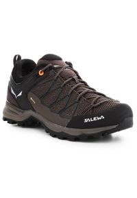 Buty trekkingowe męskie Salewa Mtn Trainer Lite Gtx. Zapięcie: sznurówki. Kolor: brązowy, wielokolorowy. Materiał: materiał, tkanina, syntetyk. Szerokość cholewki: normalna