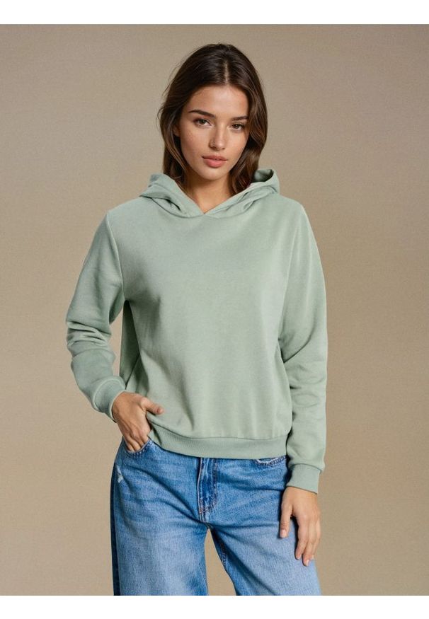 Sinsay - Bluza hoodie basic - zielony. Kolor: zielony