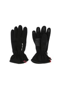 Rękawice narciarskie z polaru Whistler Hastings. Kolor: czarny. Materiał: polar. Sport: narciarstwo #1