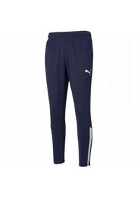 Puma - Męskie Spodnie Do Biegania TeamLIGA. Kolor: niebieski. Materiał: dresówka