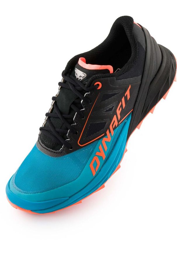 Dynafit - Buty Dynacit WMS dla Kobiet 39 - Wodoodporne i Trwałe. Kolor: czarny. Styl: sportowy