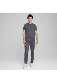 Puma - Męskie spodnie EVOSTRIPE PUMA Galactic Gray. Kolor: szary