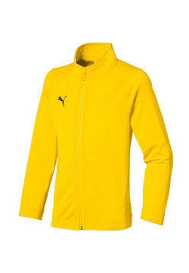 Kurtka Sportowa dla Dzieci Puma Junior Liga Poly Jacket Core. Kolor: wielokolorowy, fioletowy, czarny. Materiał: poliester. Sport: piłka nożna