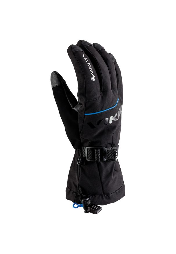 Rękawice Snowboardowe unisex Viking Hudson GORE-TEX (kolor 09) 2024. Kolor: czarny, niebieski, wielokolorowy. Technologia: Gore-Tex. Sezon: zima. Sport: narciarstwo, snowboard