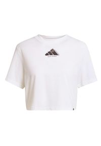 Adidas - Koszulka CLIMACOOL Vintage Training Graphic. Kolor: biały. Technologia: ClimaCool (Adidas)