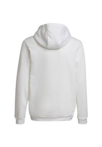 Adidas - Bluza piłkarska dla dzieci adidas Entrada 22 Hoody. Kolor: czarny, wielokolorowy, biały. Sport: piłka nożna