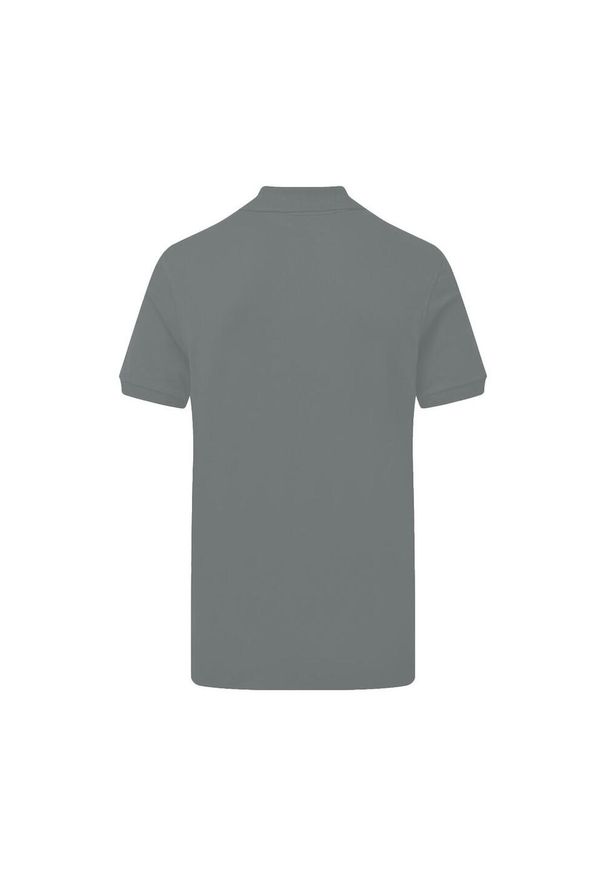 SG - Męska Koszulka Polo Signature Stretch Bez Metki. Typ kołnierza: polo. Kolor: szary