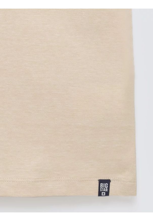 Big-Star - Koszulka męska w drobne paski beżowa Fredriser 801. Okazja: na co dzień. Kolor: beżowy. Materiał: dzianina, jeans, materiał. Wzór: paski. Sezon: lato. Styl: casual