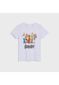 Sinsay - Koszulka Scooby Doo - Jasny szary. Kolor: szary #1