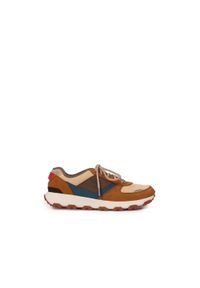 Buty męskie Timberland Winsor Park Ox. Kolor: brązowy, wielokolorowy