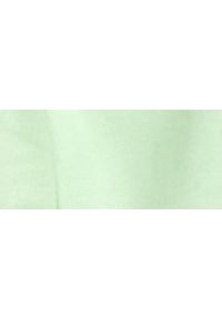 TOP SECRET - Bluza damska gładka. Kolor: zielony. Materiał: dzianina. Długość: długie. Wzór: gładki. Sezon: wiosna #3