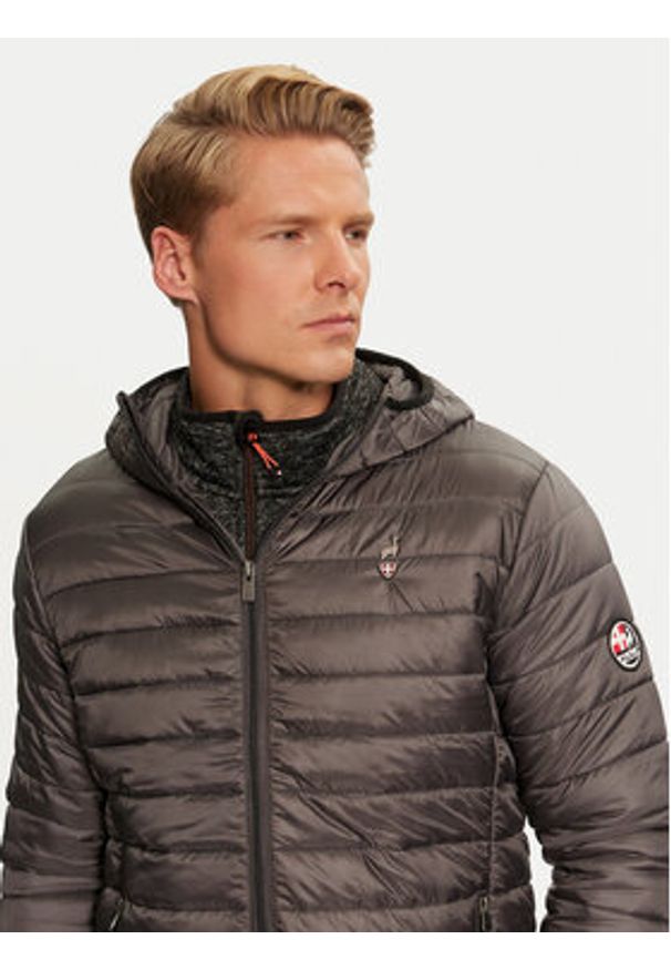 Aulp Kurtka zimowa Maxim Szary Regular Fit. Kolor: szary. Materiał: syntetyk. Sezon: zima