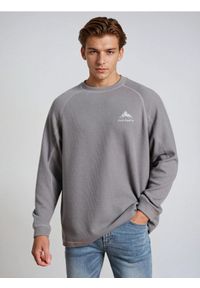 Sinsay - Prążkowana bluza crewneck - szary. Kolor: szary. Materiał: prążkowany #1