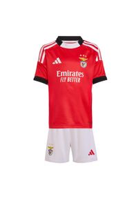 Adidas - Mini zestaw dla dzieci Benfica 25/26 Home. Kolor: czerwony, biały, wielokolorowy. Sport: piłka nożna #2