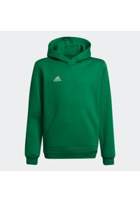 Adidas - Bluza piłkarska dla dzieci adidas Entrada 22 Hoody. Kolor: wielokolorowy, zielony, biały. Sport: piłka nożna