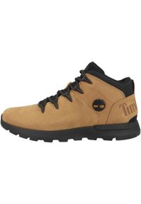 Buty trekkingowe męskie Timberland TB0A2FEP231. Kolor: brązowy. Materiał: skóra. Szerokość cholewki: normalna