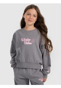 4f - 4F Bluza dresowa nierozpinana bez kaptura dziewczęca - szara 122 (6-7 lat). Okazja: na uczelnię, na co dzień. Typ kołnierza: bez kaptura. Kolor: szary. Materiał: dresówka. Sezon: lato. Styl: casual #1