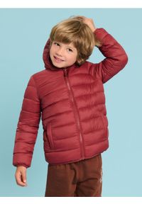 Sinsay - Kurtka pikowana - bordowy. Kolor: czerwony #1