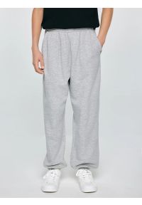 Big-Star - Spodnie chłopięce dresowe szare Polis 901. Okazja: na co dzień, na uczelnię. Kolor: szary. Materiał: dresówka. Wzór: aplikacja. Styl: casual, sportowy #1