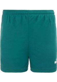 Puma - Męskie Szorty Sportowe PUMA 2XL - Oddychający i Elastyczny Design. Kolor: fioletowy. Sport: fitness