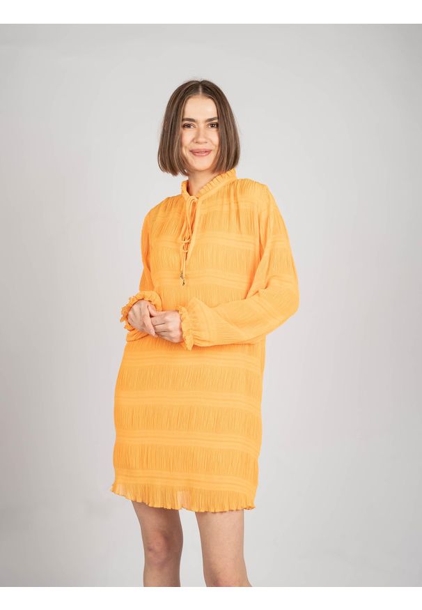 Patrizia Pepe Sukienka | 8A0854/A8R2 | Kobieta | Pomarańczowy. Kolor: pomarańczowy. Materiał: poliester. Długość rękawa: długi rękaw. Wzór: aplikacja. Długość: mini