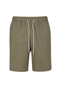 Szorty Urban Classics Basic Seersucker. Kolor: zielony. Długość: krótkie. Sezon: lato #1