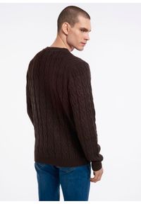 Ochnik - Sweter męski. Kolor: brązowy. Materiał: materiał. Długość: długie. Wzór: ze splotem. Sezon: jesień