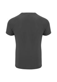 ROLY - T-shirt Dziecięca Sportowy Bahrain. Kolor: szary, niebieski, wielokolorowy. Sport: turystyka piesza