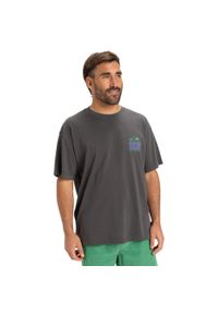Quiksilver - Koszulka z krótkim rękawem dla Mężczyzn WORLD FORCE. Kolor: czarny. Materiał: materiał, bawełna. Długość rękawa: krótki rękaw. Długość: krótkie