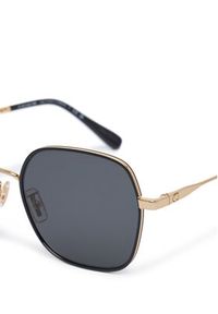 Coach Okulary przeciwsłoneczne 0HC7180D 946687 Czarny. Kolor: czarny