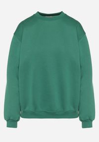 Born2be - Zielona Ocieplana Bluza z Bawełną i Napisem z Tyłu Fezanda. Okazja: na co dzień. Kolor: zielony. Materiał: bawełna. Wzór: napisy. Styl: klasyczny, casual, elegancki #5
