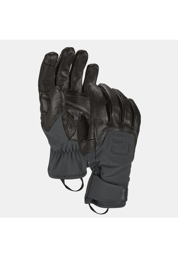 ORTOVOX - Rękawice w góry Ortovox Alpine Pro Glove. Kolor: czarny. Sezon: zima. Sport: wspinaczka
