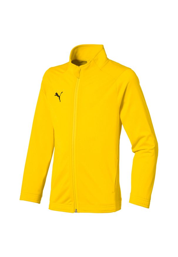 Puma - Kurtka chłopięca Glemo na zamek, żółto-czarna, 5-6 lat. Kolor: fioletowy, wielokolorowy, czarny. Sezon: lato. Sport: piłka nożna