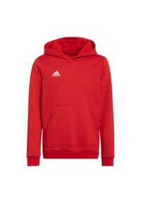 Adidas - Bluza piłkarska dla dzieci adidas Entrada 22 Hoody. Kolor: czerwony. Materiał: poliester, bawełna. Sport: piłka nożna #2