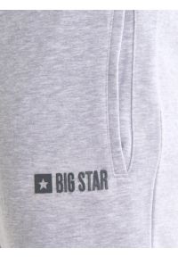Big-Star - Spodnie męskie dresowe szare Brutus 901. Kolekcja: plus size. Kolor: szary. Materiał: dresówka. Wzór: nadruk, aplikacja #3