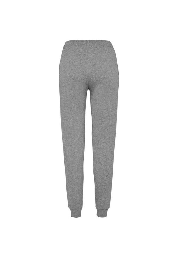 ROLY - Spodnie Damskie Adelpho. Kolor: szary. Sezon: lato. Sport: turystyka piesza