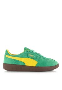 Trenerzy Puma Palermo. Kolor: zielony