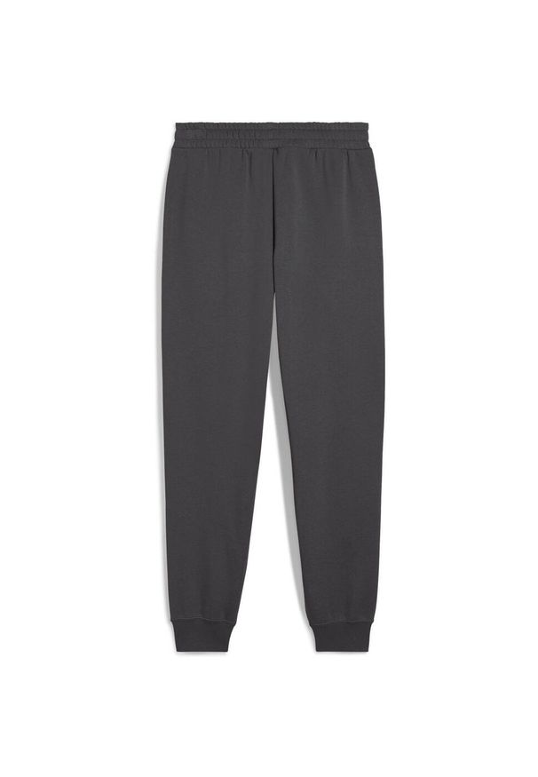 Spodnie Puma Ess No. 1 Logo Sweatpants Fl Cl S. Kolor: szary. Materiał: bawełna, materiał. Sport: fitness