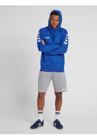 Bluza z kapturem sportowa męska Hummel Go Cotton Zip Hoodie. Typ kołnierza: kaptur. Kolor: szary, niebieski, wielokolorowy. Sport: taniec, joga i pilates