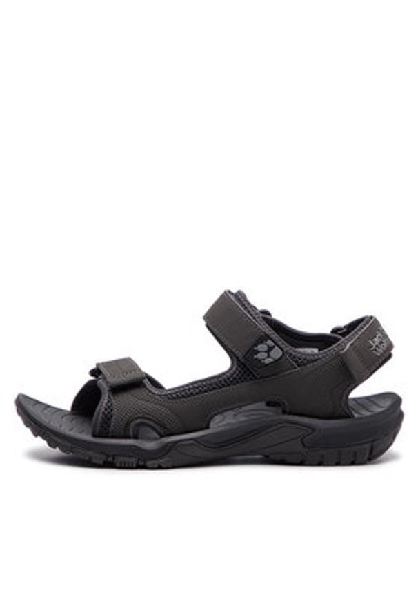 Jack Wolfskin Sandały Lakewood Cruise Sandal M 409011 Szary. Kolor: szary. Materiał: skóra