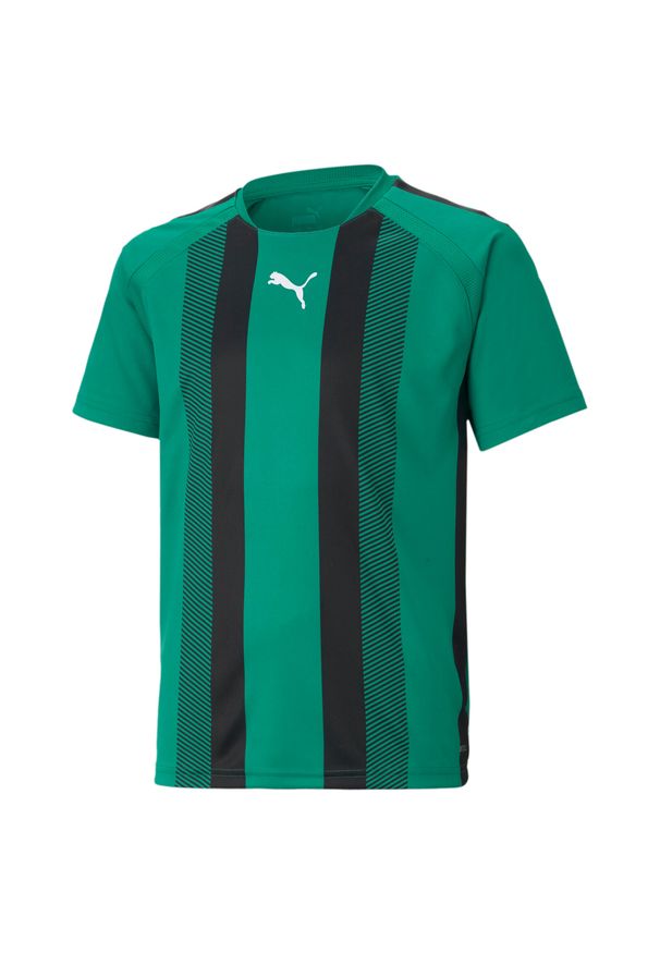 Koszulka dziecięca Puma Team Liga Striped. Kolor: czarny, wielokolorowy, zielony. Sport: fitness, piłka nożna