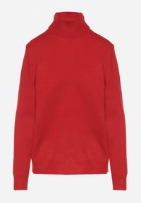 Born2be - Czerwony Casualowy Golf z Wełną o Prostym Kroju Reiselia. Okazja: na co dzień. Typ kołnierza: golf. Kolor: czerwony. Materiał: wełna. Styl: casual #2