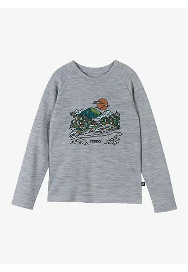 Bluza dziecięca Reima Viisas. Kolor: szary