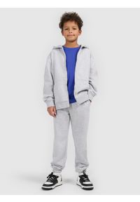 4f - 4F Spodnie dresowe joggery chłopięce - szare 146 (10-11 lat). Okazja: na co dzień. Kolor: szary. Materiał: dresówka. Wzór: gładki, ze splotem. Sezon: lato. Styl: młodzieżowy, casual, sportowy #1