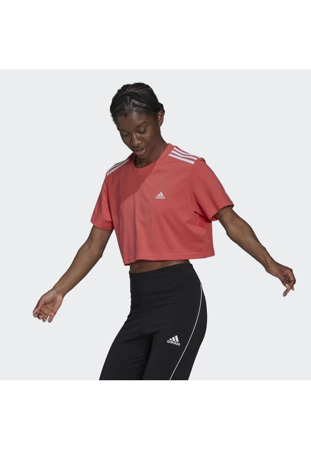 Koszulka damska Adidas Cropped różowa krótka bawełniana. Kolor: pomarańczowy. Materiał: bawełna. Długość: krótkie