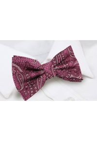Mucha Męska w Zestawie z Poszetką - Alties - Fuksja w Paisley. Kolor: różowy. Wzór: paisley. Styl: elegancki, sportowy #5