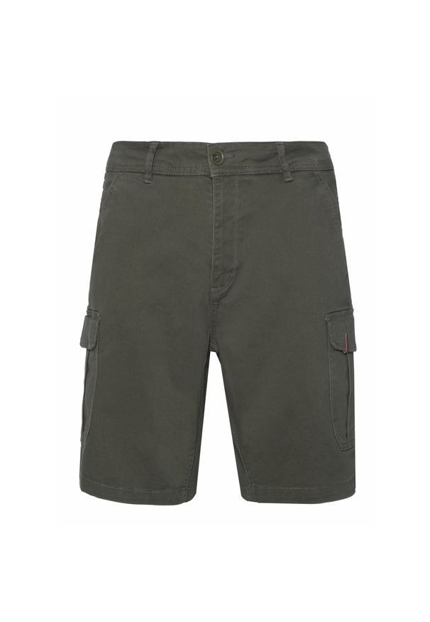 Spodenki cargo Protest Prtnytro. Kolor: zielony. Materiał: bawełna. Sezon: lato. Sport: turystyka piesza